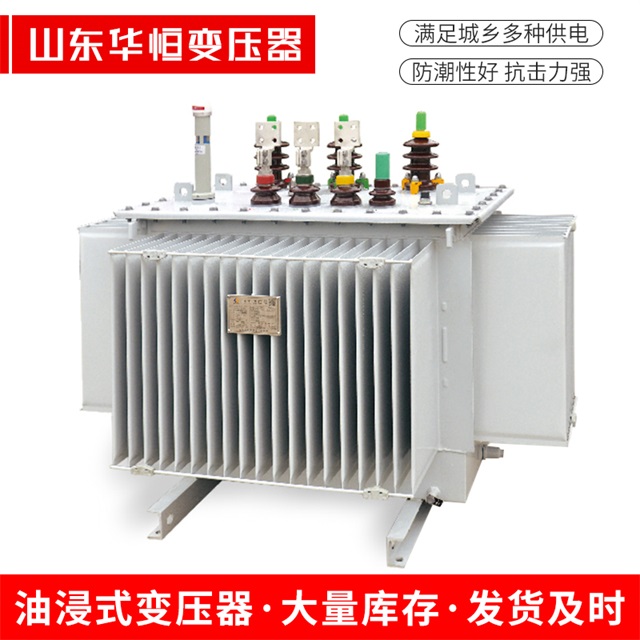 S13-10000/35浦东浦东浦东电力变压器