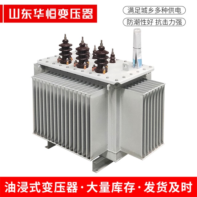 S11-10000/35浦东浦东浦东电力变压器价格